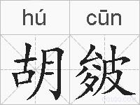 胡皴的拼音