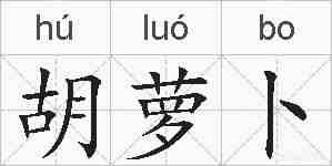 胡萝卜的拼音