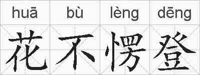 花不愣登的拼音