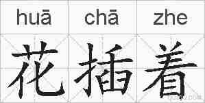 花插着的拼音