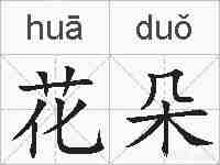花朵的拼音