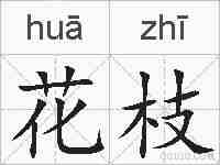 花枝的拼音