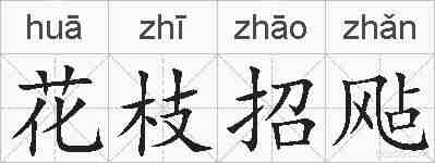 花枝招飐的拼音