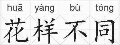 花样不同的拼音