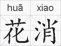 花消的拼音