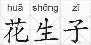 花生子的拼音