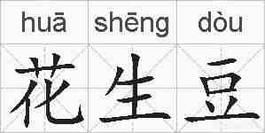 花生豆的拼音