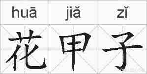 花甲子的拼音