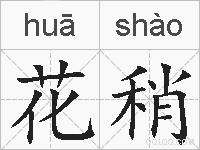 花稍的拼音