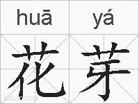 花芽的拼音