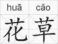 花草的拼音
