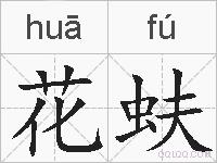花蚨的拼音