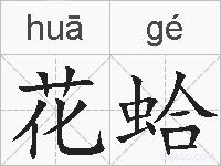 花蛤的拼音
