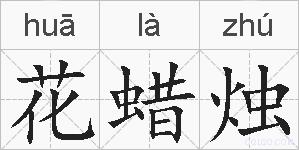 花蜡烛的拼音