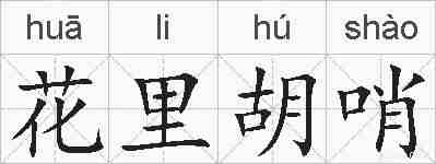 花里胡哨的拼音