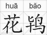 花鸨的拼音