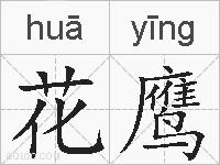 花鹰的拼音
