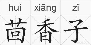 茴香子的拼音