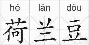 荷兰豆的拼音