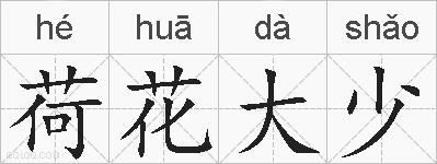 荷花大少的拼音