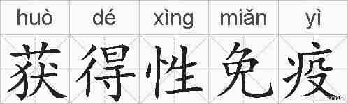 获得性免疫的拼音