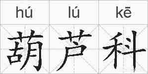 葫芦科的拼音