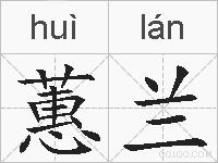 蕙兰的拼音