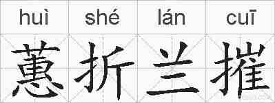 蕙折兰摧的拼音