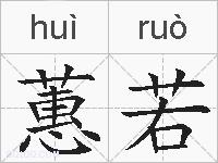 蕙若的拼音