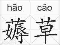 薅草的拼音