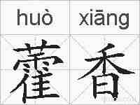 藿香的拼音