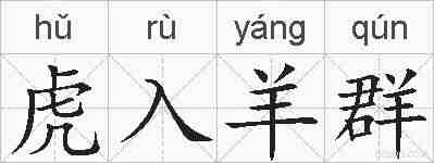 虎入羊群的拼音