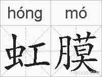 虹膜的拼音