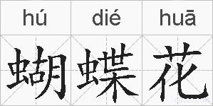 蝴蝶花的拼音