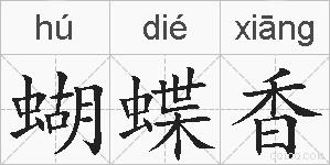 蝴蝶香的拼音