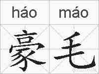 豪毛的拼音