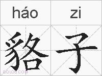 貉子的拼音