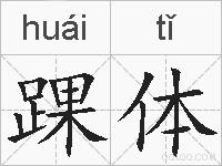 踝体的拼音