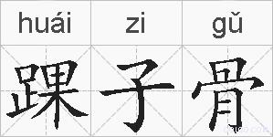 踝子骨的拼音