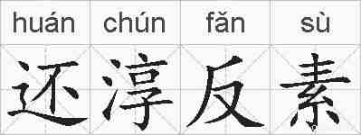 还淳反素的拼音