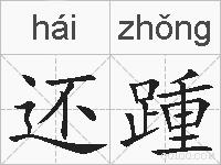 还踵的拼音