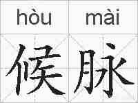 候脉的拼音