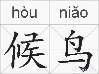 候鸟的拼音