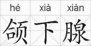 颌下腺的拼音