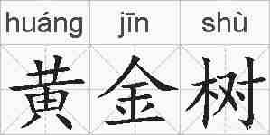 黄金树的拼音