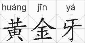 黄金牙的拼音
