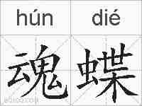 魂蝶的拼音