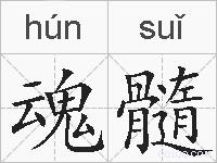 魂髓的拼音