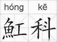 魟科的拼音