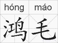 鸿毛的拼音